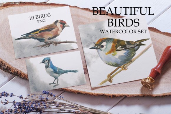 Beautiful Birds Watercolor Set: A Designer’s Honest Review for Real Embroidery Use