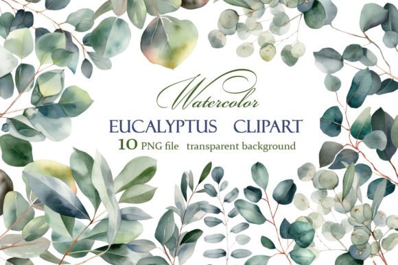 Eucalyptus Watercolor Leaves Clipart for Handmade Illustrations