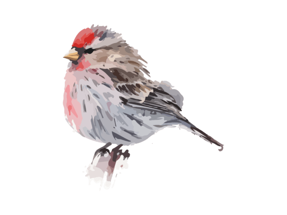 Floral Watercolor Bird SVG Clipart for Handmade Crafters & Etsy Sellers