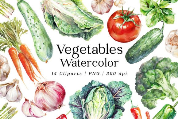 h1Fresh Vegetable Watercolor Illustrations for Creative Sellers/h1
