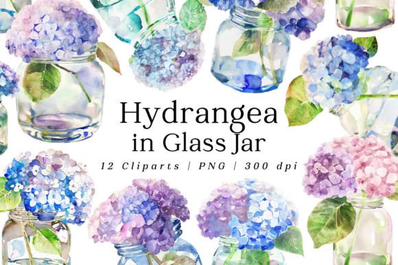h1Hydrangea Flowers Jar Watercolor Illustrations for Digital Sellers/h1