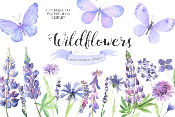 h1Watercolor Wildflowers Clipart PNG for Branding & Marketing Illustrations/h1