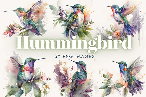 Hummingbird Watercolor Clipart: A Blog Designer’s Review for Real Content Publishing