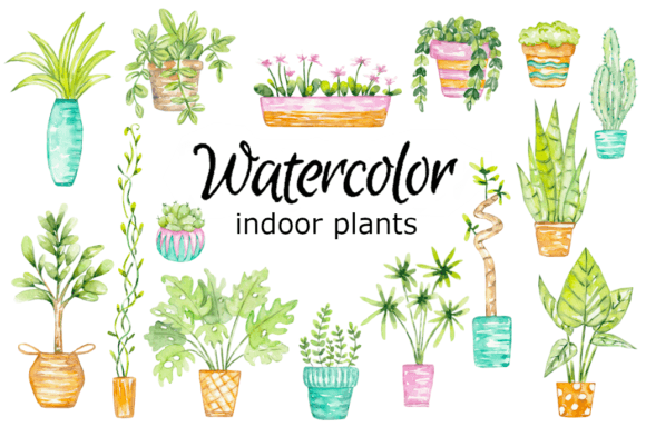 Indoor Plants Watercolor Clipart: A Crafter’s Honest Review for Real-World Handmade Use