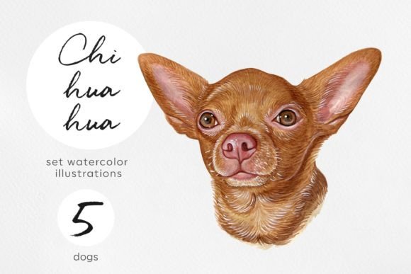 Watercolor 5 Chihuahua Dog Illustration: A Designer’s Real-World Review for Brand & Marketing Use
