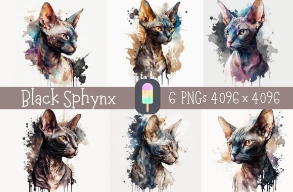 Watercolor Black Sphynx Cat Illustrations: A Designer’s Honest Review for Branding and Marketing