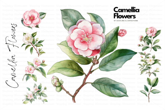 Watercolor Camellia Spring Flowers Embroidery Design Review