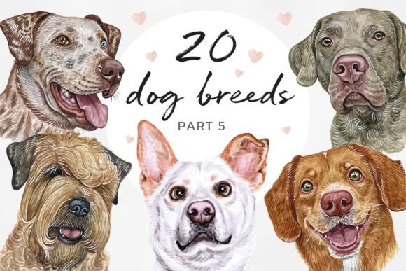 Watercolor Dog Illustrations for Crafting: A Crafter’s Honest Review