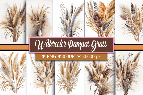 Watercolor Dried Pampas Grass Illustrations for Soft, Organic Branding