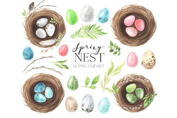 Watercolor Easter Spring Nest Clipart for Illustrations & Digital Selling