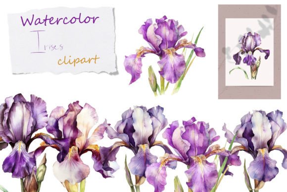 Watercolor Flowers Clipart for Illustrations: A Floral Review for Sellers