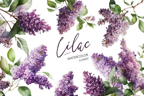 Watercolor Lilac Clipart: A Designer’s Real-World Embroidery Review