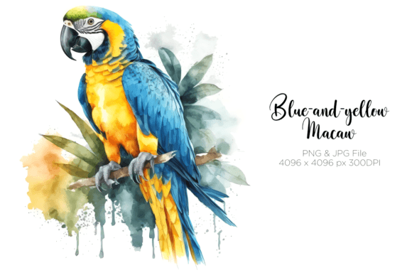 Watercolor Macaw Illustrations That Elevate Branding and Marketing Visuals