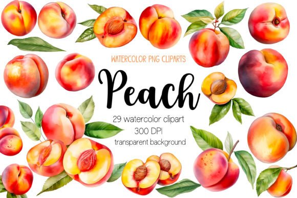 Watercolor Peach Illustrations: A Versatile Design Asset for Creative Sellers