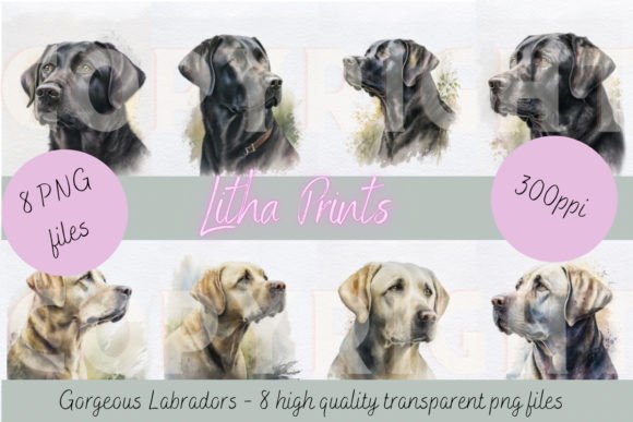 Watercolour Labradors Illustrations for Creative Sellers