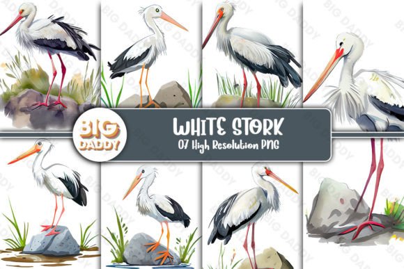 White Stork Watercolor Sublimation Illustrations for Crafters & Etsy Sellers
